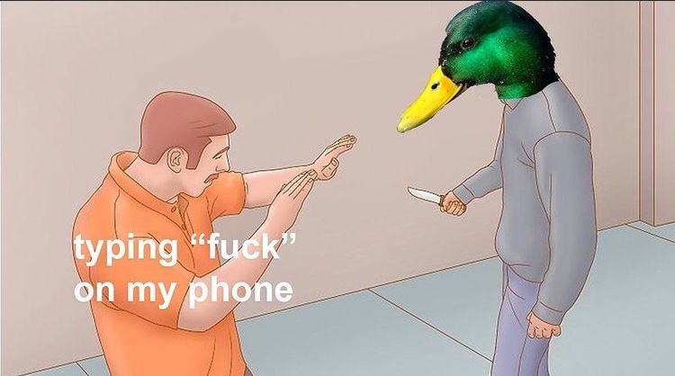 duck you - meme