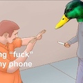 duck you