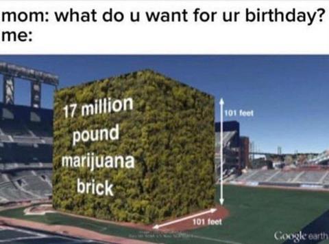 I don't know if mom will be able to carry all of it, but whatever. Its weed - meme