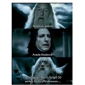 Harry Potter Lovecraft