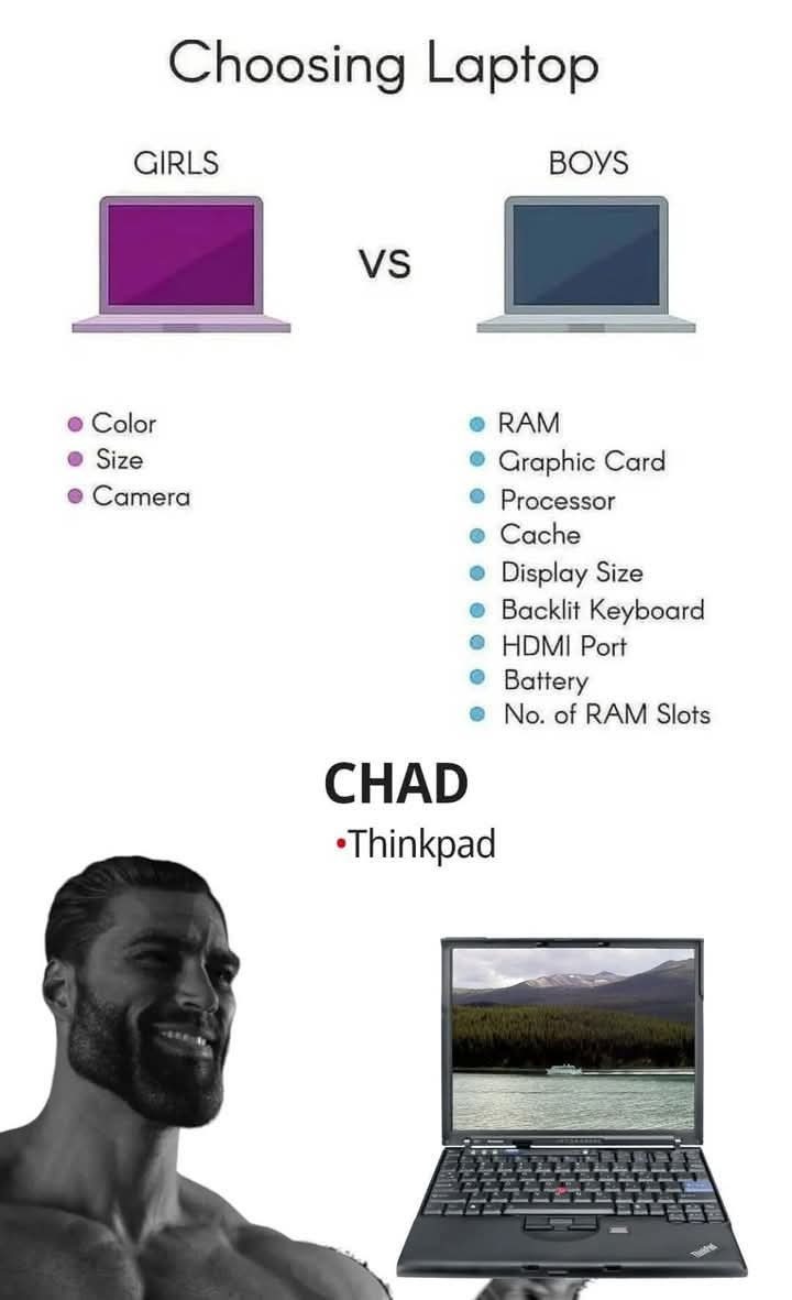 Dayum, expensive. Like i could buy a thinkpad but it wouldn't have 1T of stockage and a 2070 rtx - meme