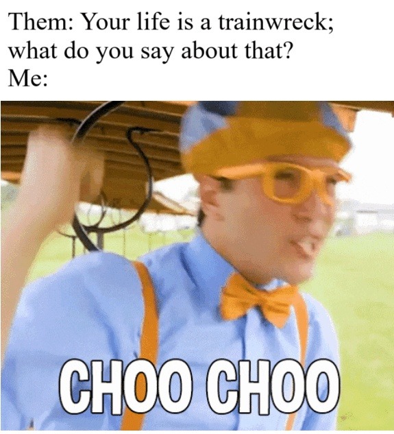 Yeah my life’s a trainwreck but at least it’s on schedule - meme
