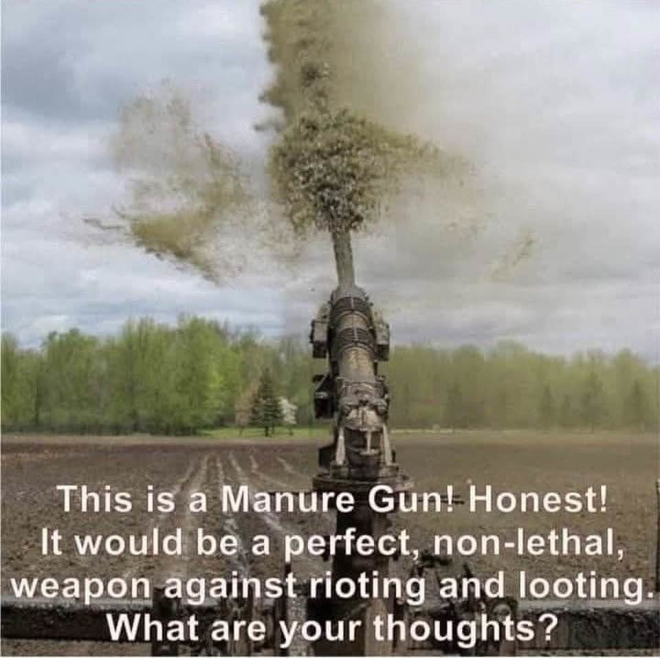 Squirt - meme