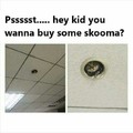 Wanna try skooma??