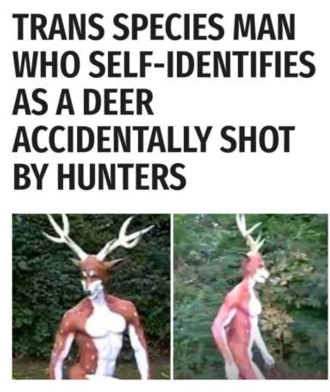 Deer meme
