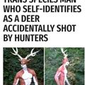 Deer meme