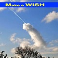 When you wish upon a star..