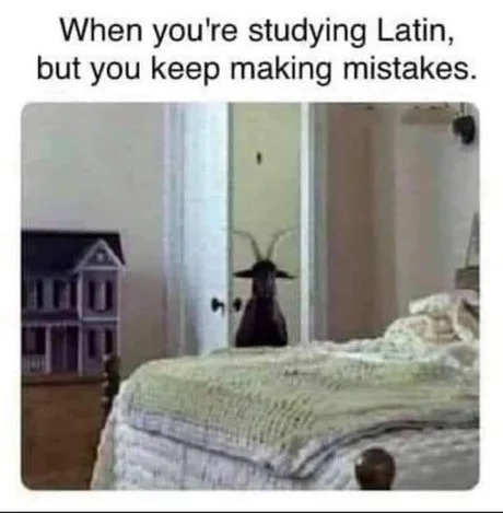 Studying Latin but keep making mistakes ... - meme