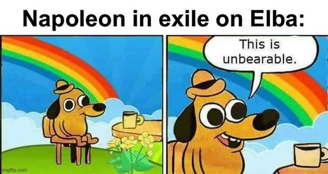 Napoleon in exile on Elba - meme