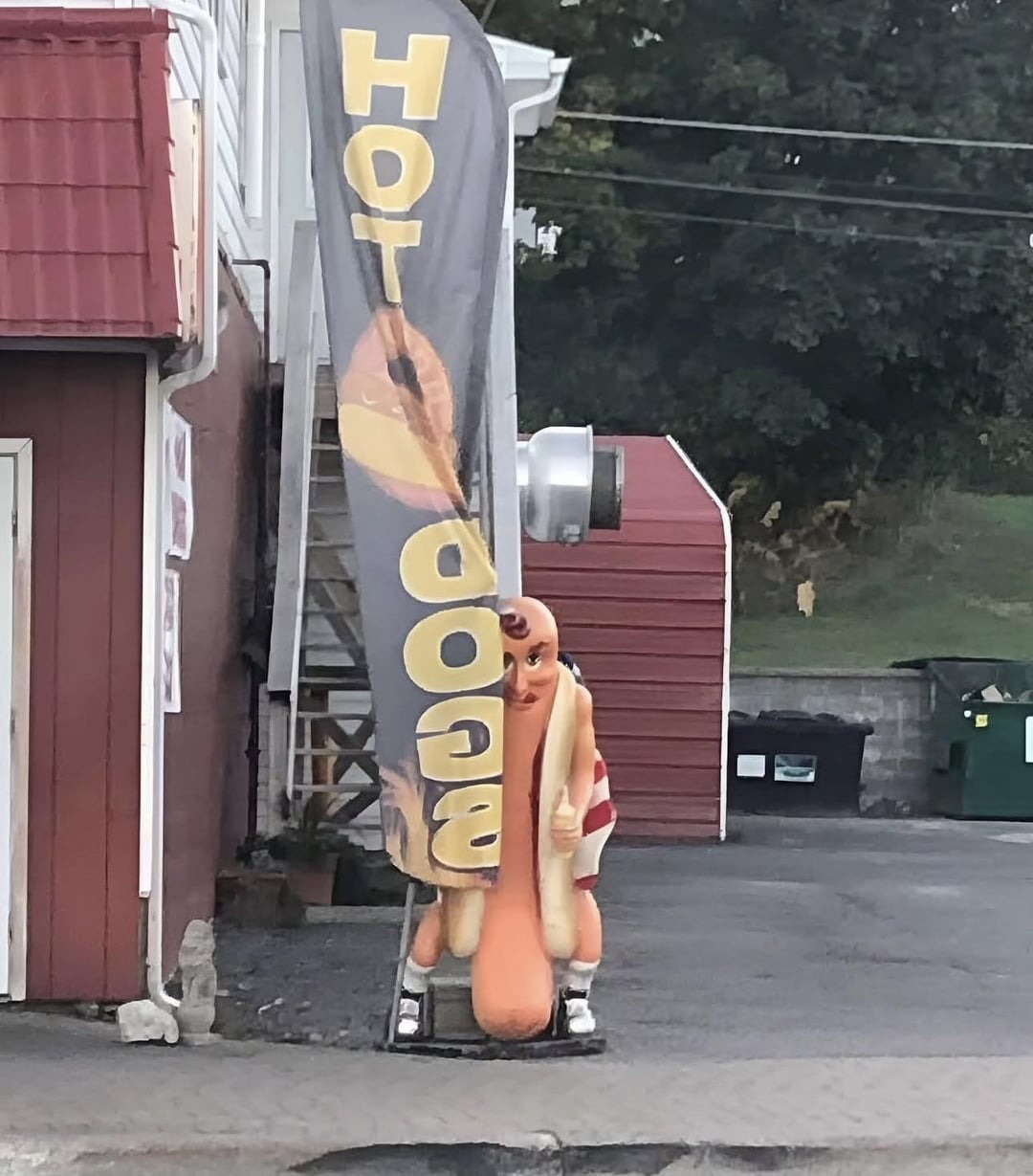 The real hot dog - meme