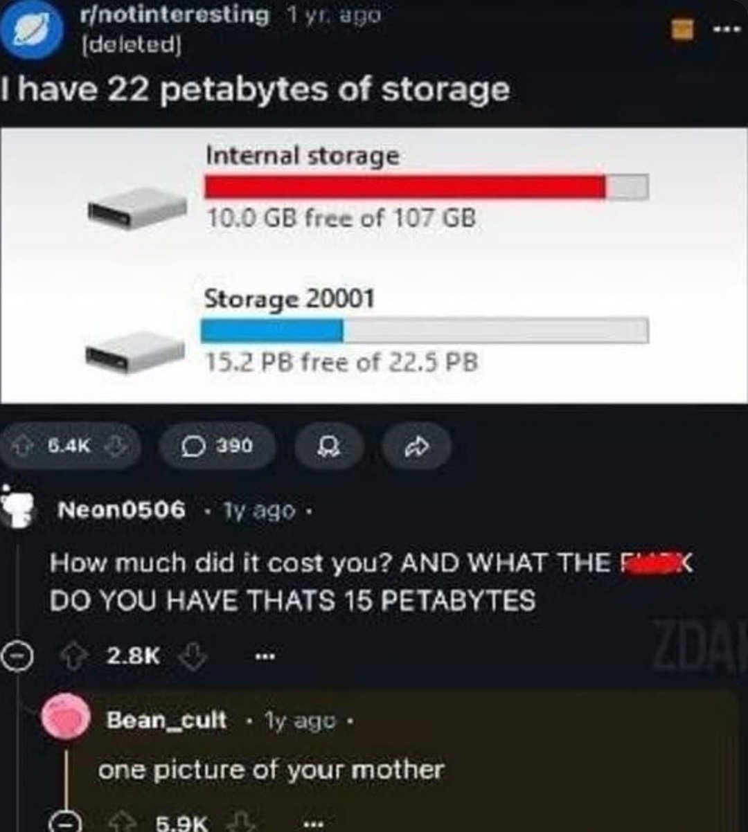Deleted my petabytes of data but now I’m wondering what I was storing in there - meme