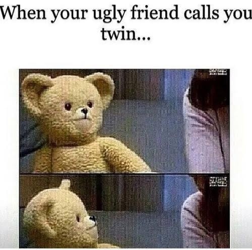 When your ugly friend calls you twin and it stings - meme