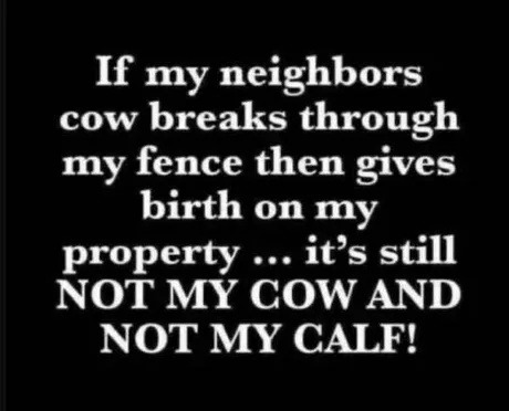neighbor’s cow births on my lawn? not my problem - meme