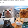 those are some sexy pussy cats