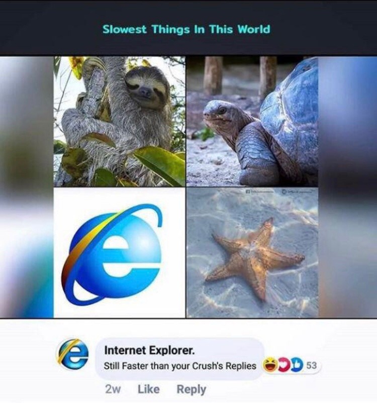it was the best chrome downloaded to ever exist - meme