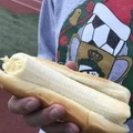 Hot dog vegano