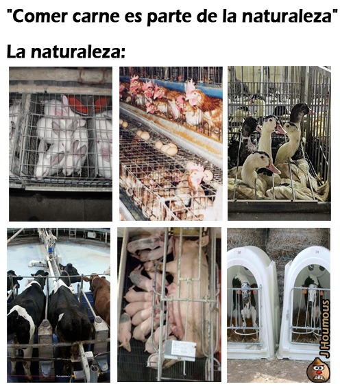 La naturaleza... - meme