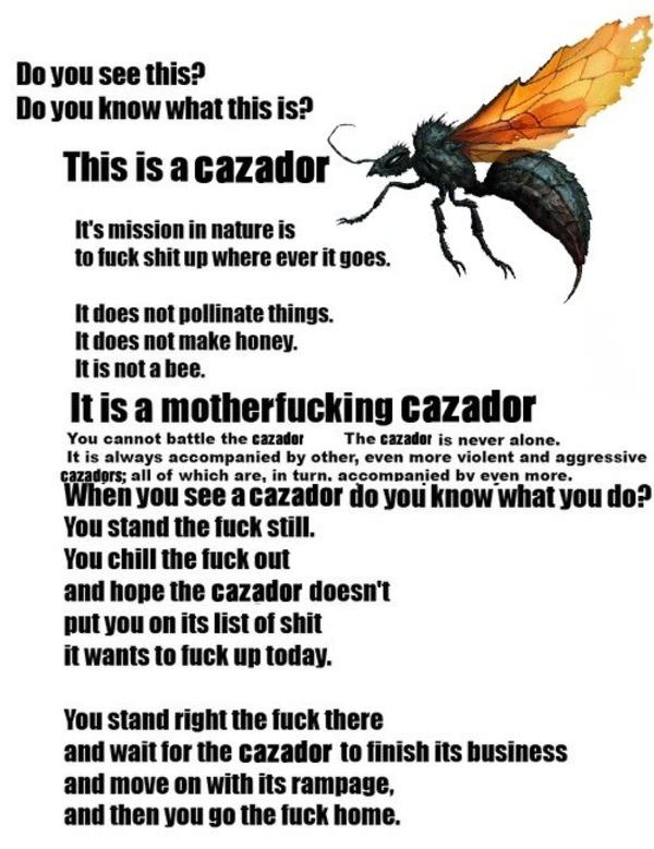 Cazadors: the flying cunts of the Mojave - meme