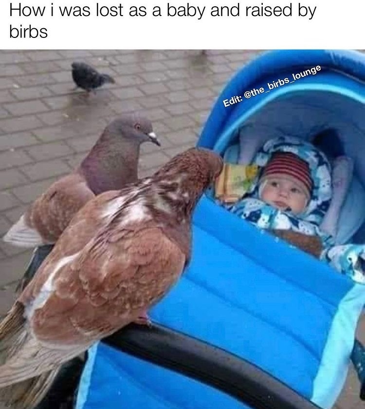 origin of birdman - meme