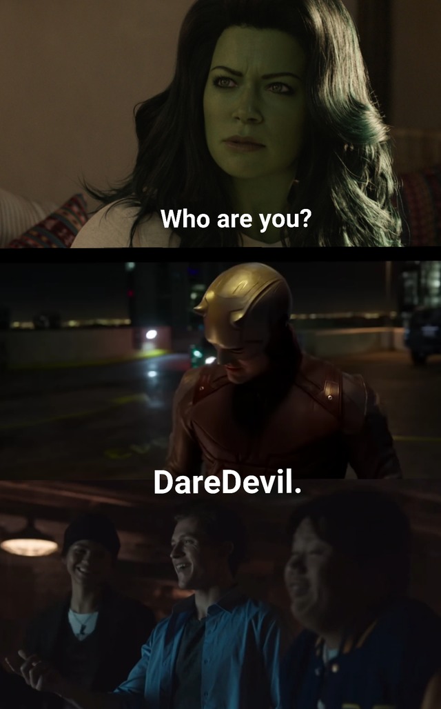 She-Hulk: Who are you? - meme