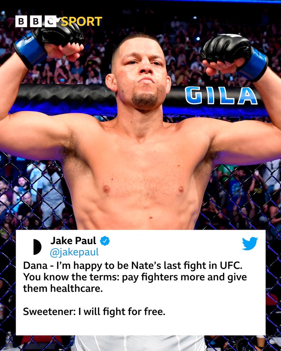 Jake Paul vs Nate Diaz boxing match meme