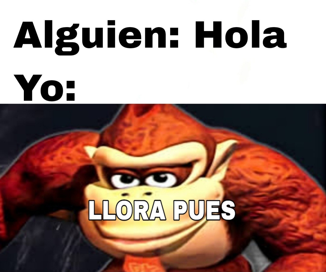 Alguien: hola Yo: Llora pues - meme