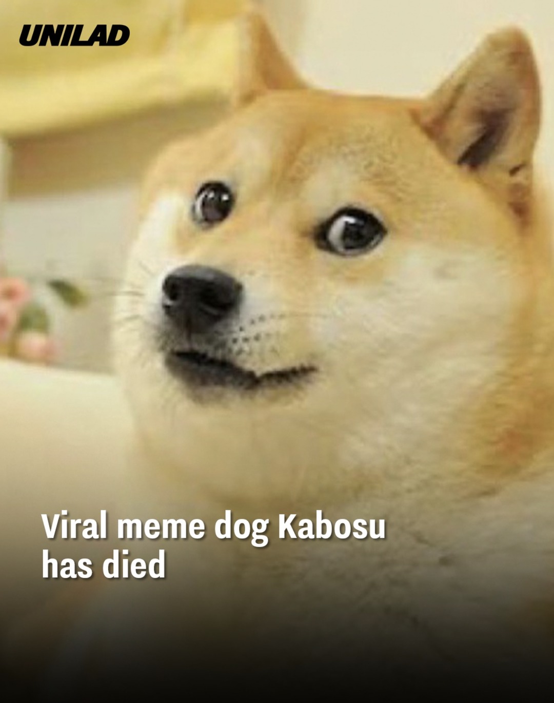 RIP - meme