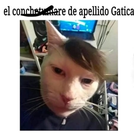 Meme del apellido Gatica