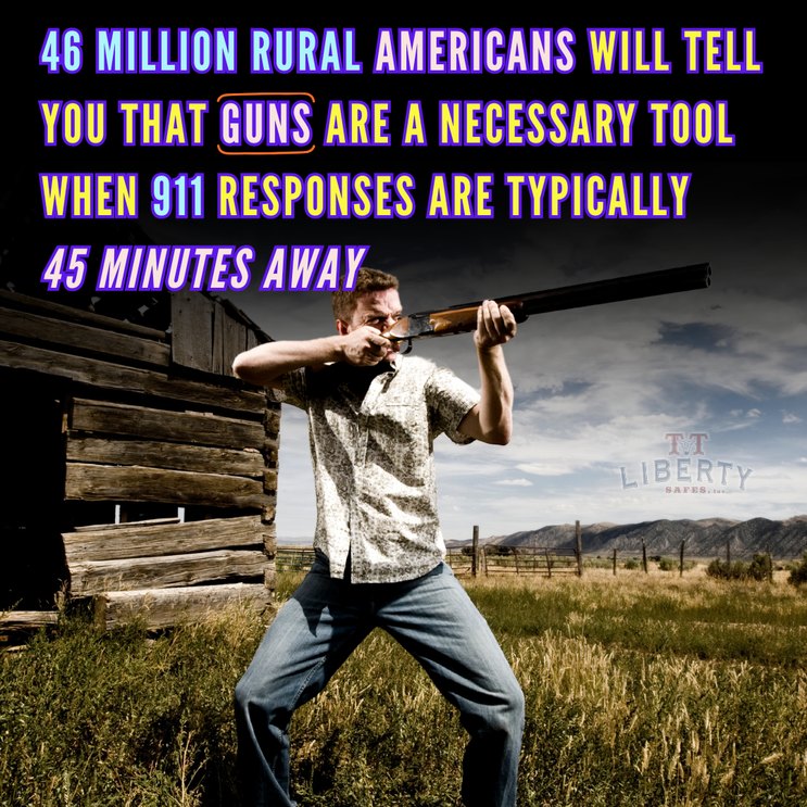 2nd Amendment - meme