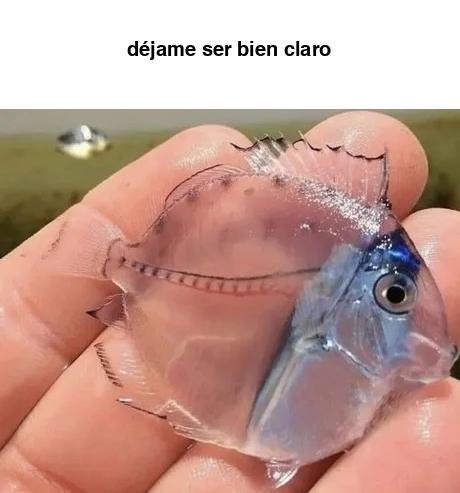 te seré bien claro - meme