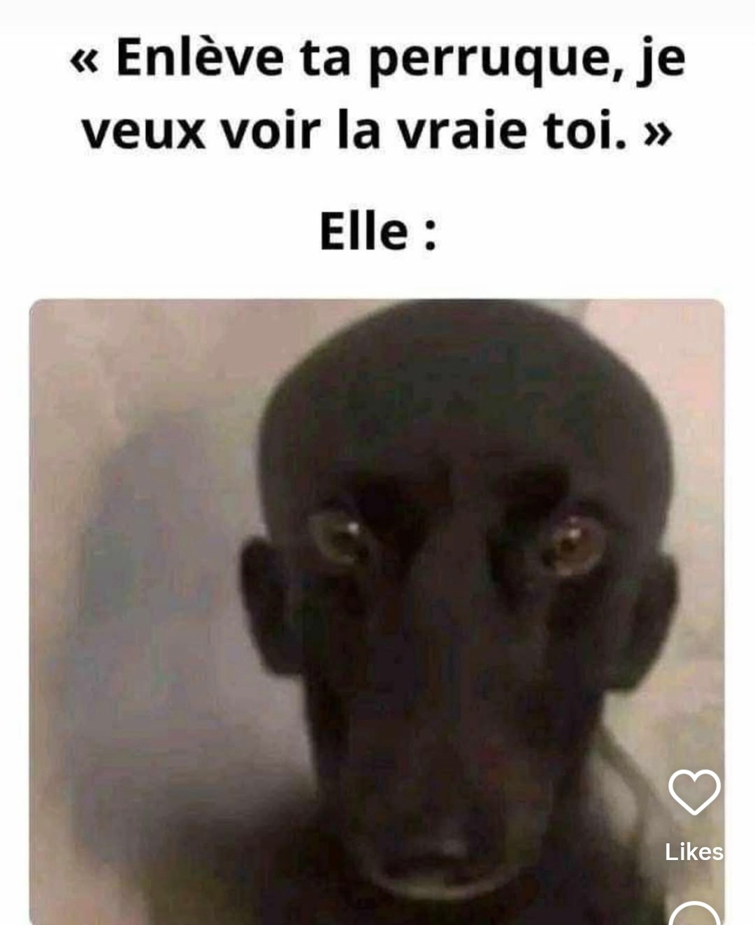 Montre-moi ta vraie forme - meme