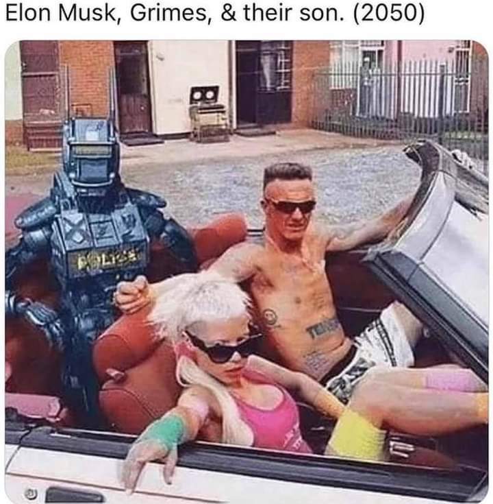 lol, as if Elon won't get another divorce - meme