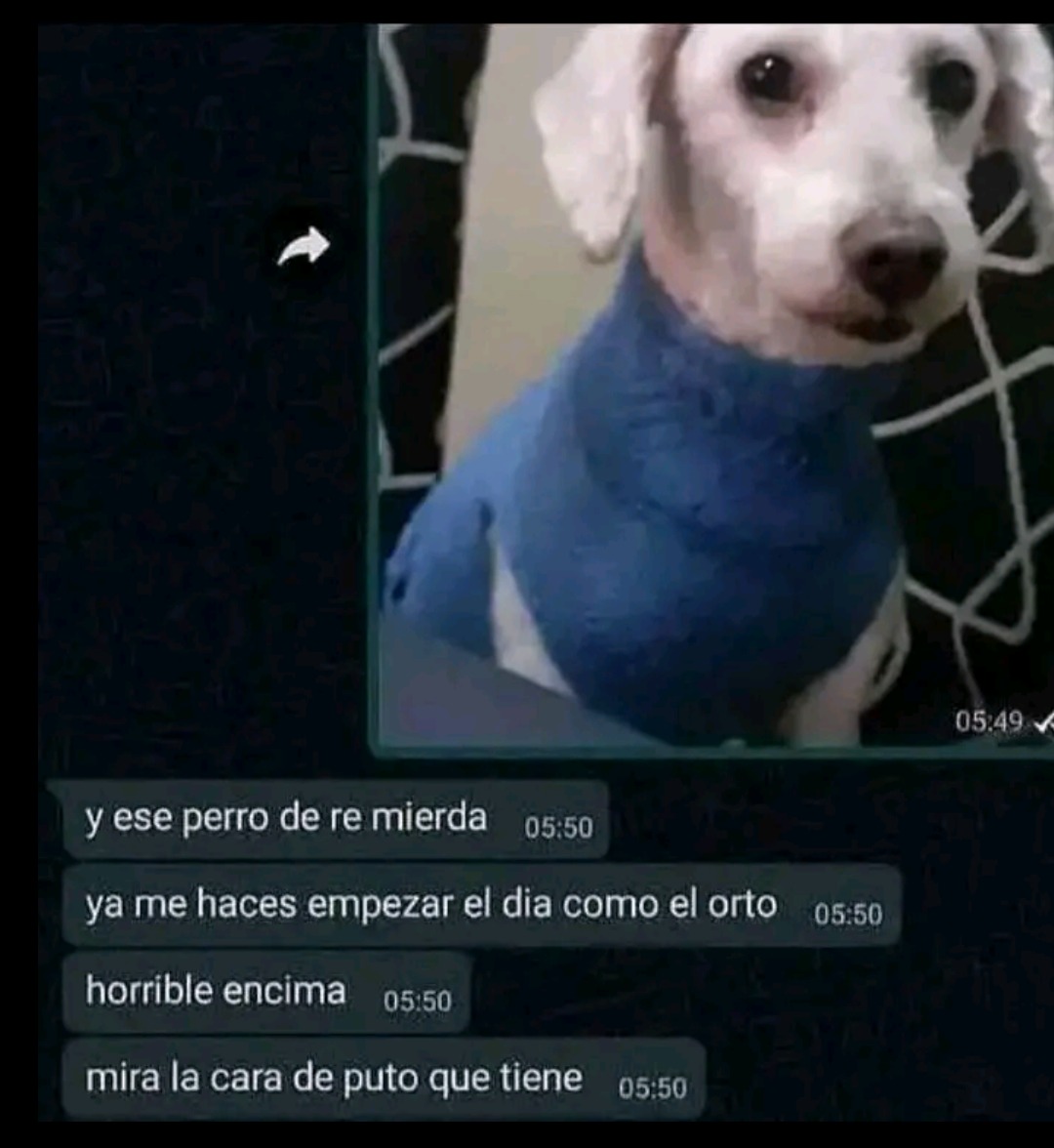 Título - meme