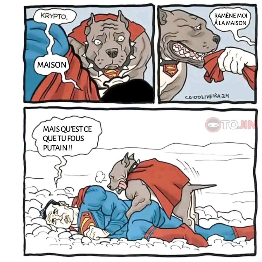 Le chien - meme