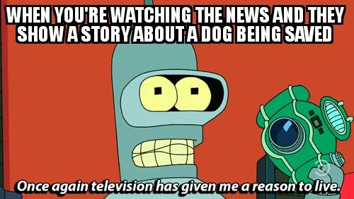 Bender Bending Rodriguez - meme