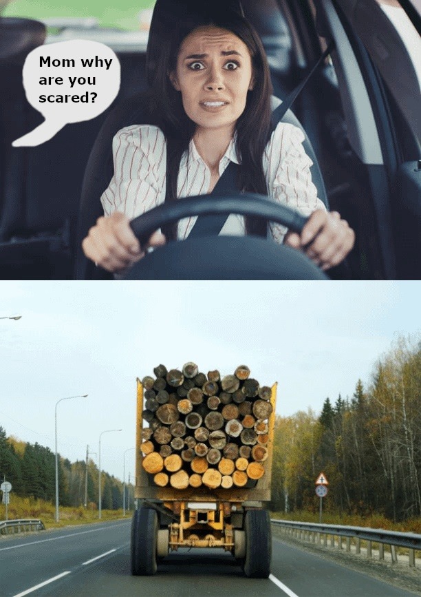 Mom: why are you scared? Also mom: - meme