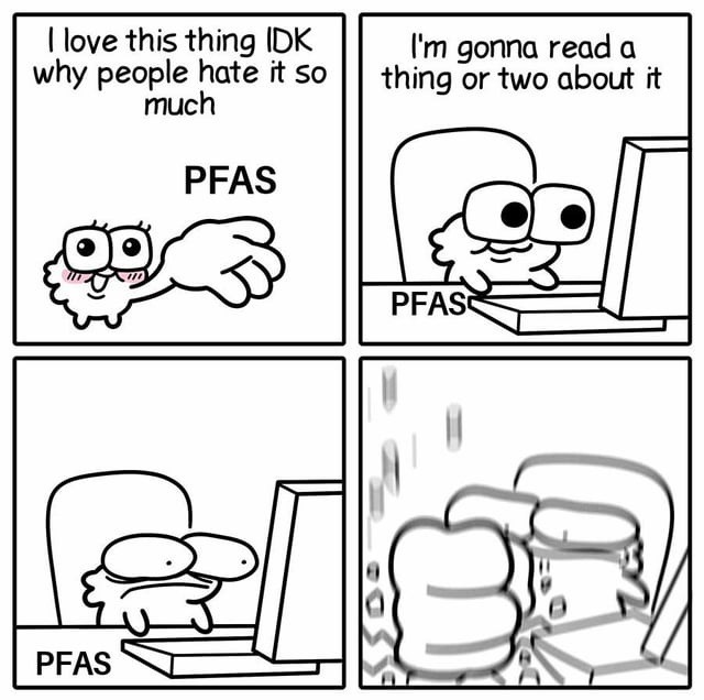 Love it but gotta google why everyone hates it - meme