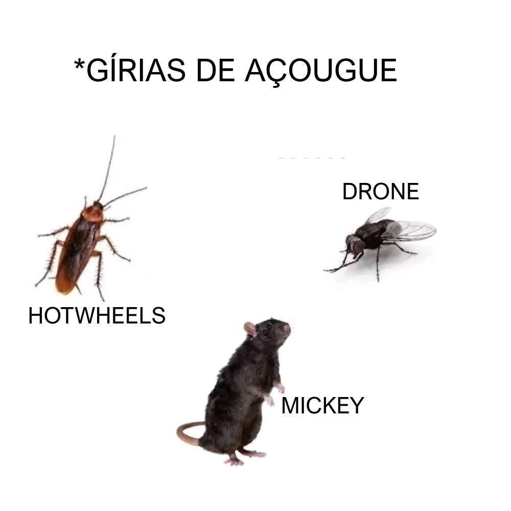 chamamos assim na Bahia - meme