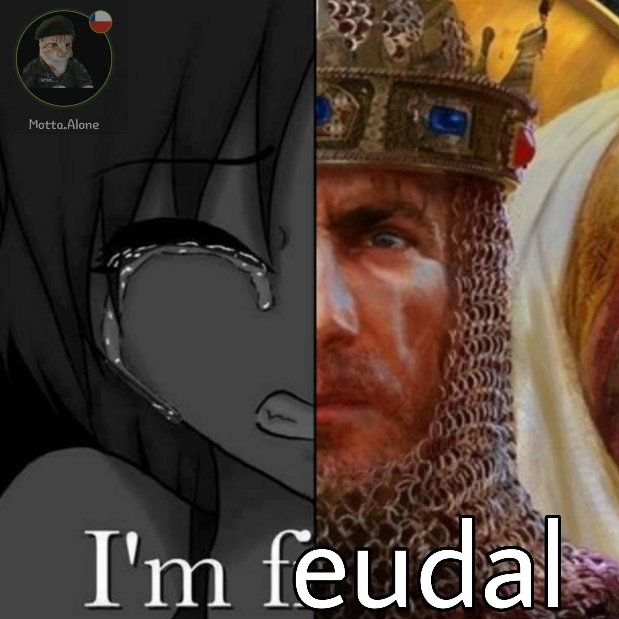 Si soy un vasallo feudal - meme