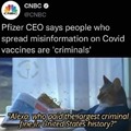 Crime pays