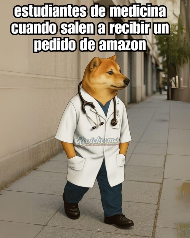 Estudiantes de medicina cuando llega su pedido de Amazon - meme