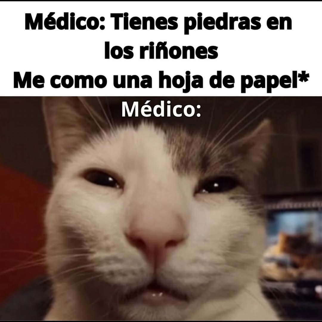 Médico: tenés piedras // Yo: me como una hoja para arreglarlo - meme
