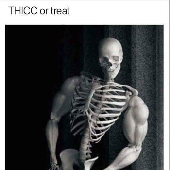 Thicc or treat - meme