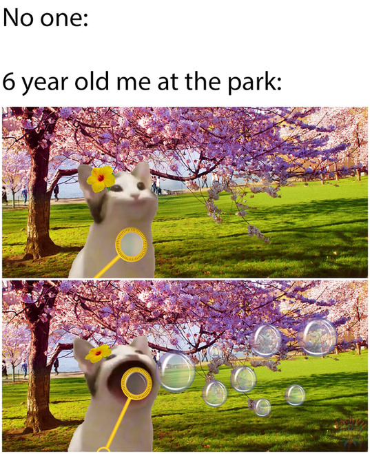 Six year old me at the park - meme