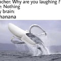 Why are you laughing?