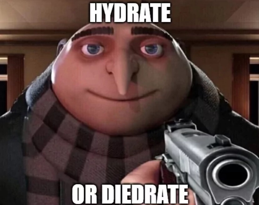 Old gru memes are great : r/memes