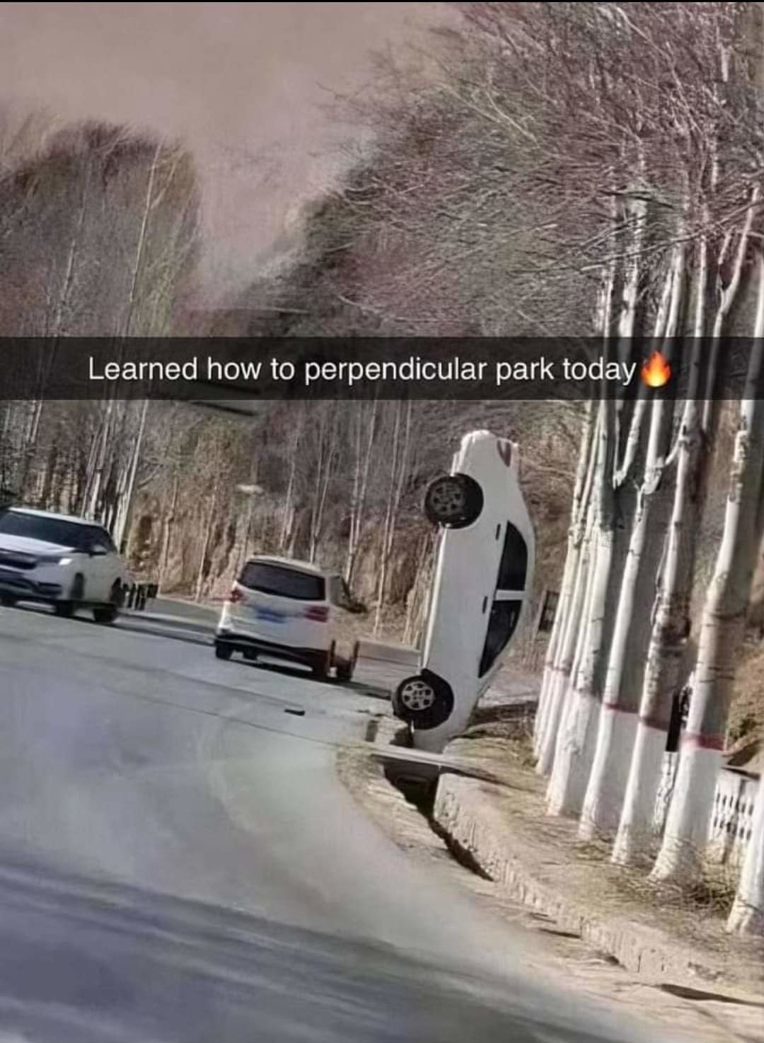 Perpendicular - meme