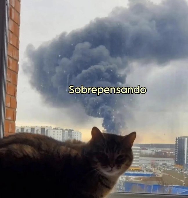 Sobrepensando meme
