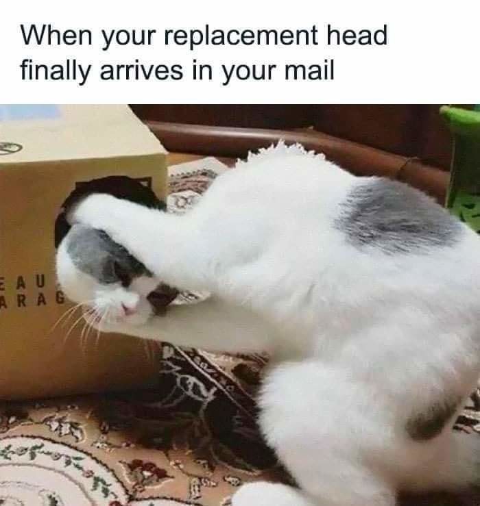 Head transplant - meme