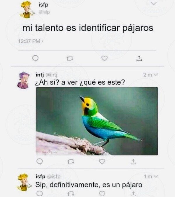 Identificar pájaros es mi don... pero solo sé que es un pájaro - meme